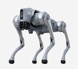 Unitree Go2 Quadruped Robot Dog — Rental