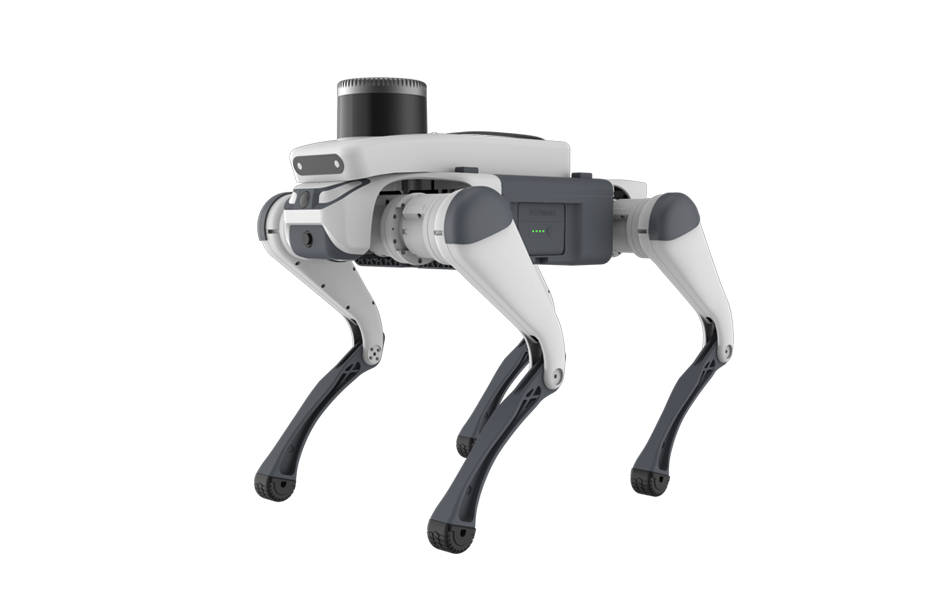 Robótica profunda Lite 3