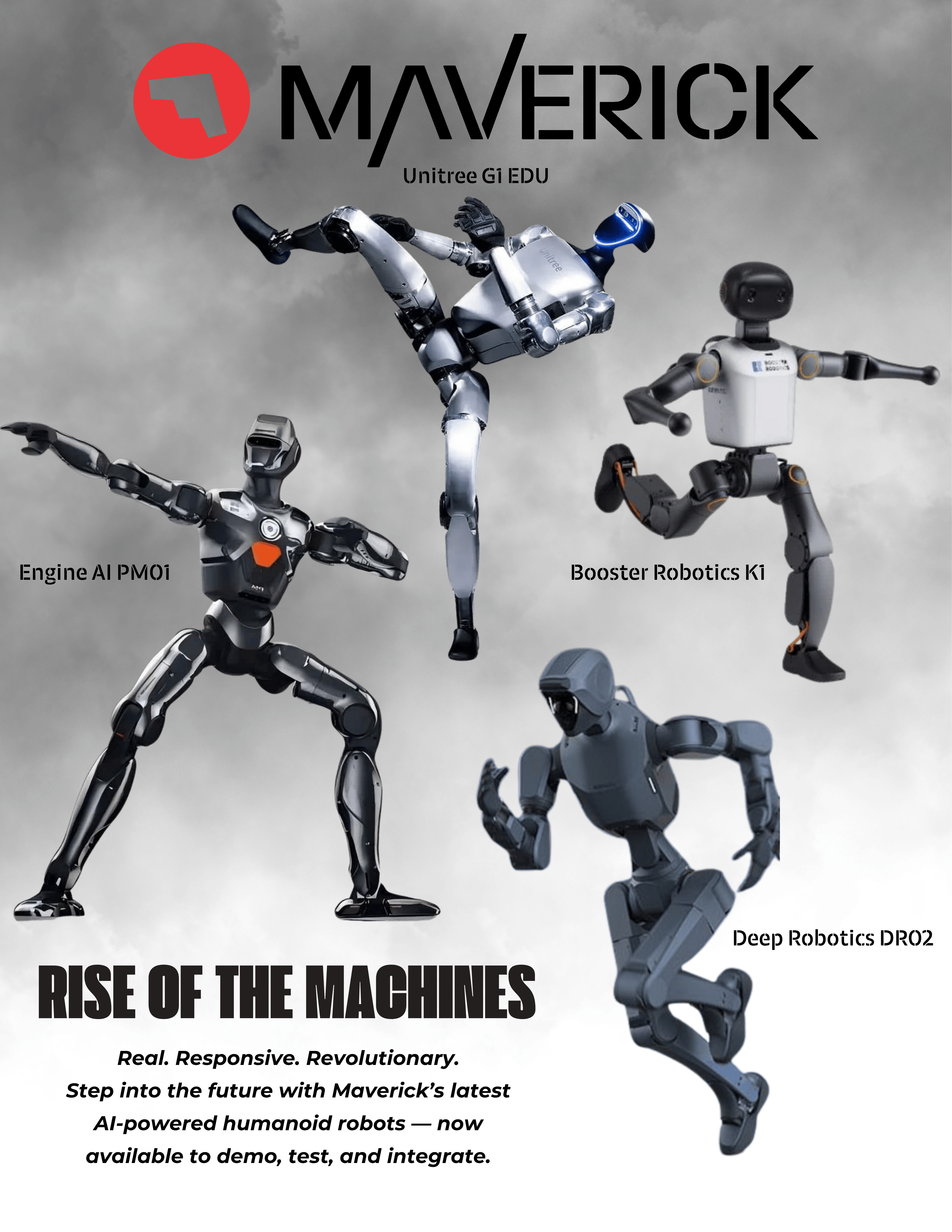 The Future of Affordable Humanoid Robots – Maverick