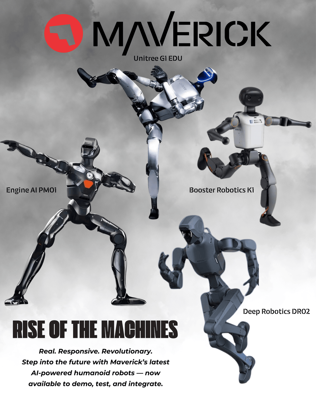 The Future of Affordable Humanoid Robots