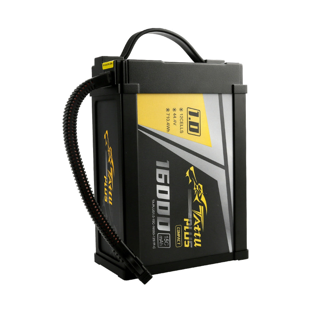 Arcsky X55 16Ah 12S LiPo flight battery