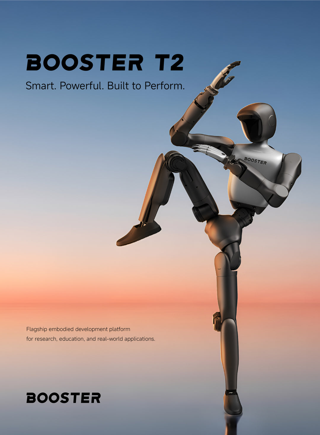 Booster T2 Pro Humanoid Robot
