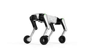 Dobot X1 Rover Explorer Rental