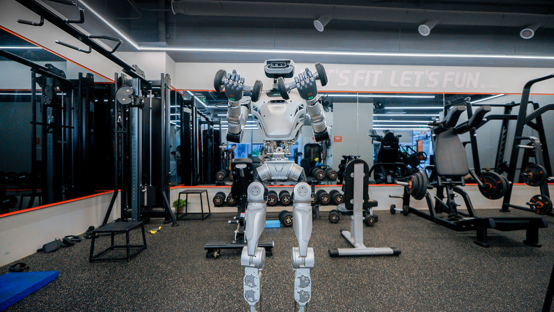 LimX Oli - Full-Size General-Purpose Humanoid Robot