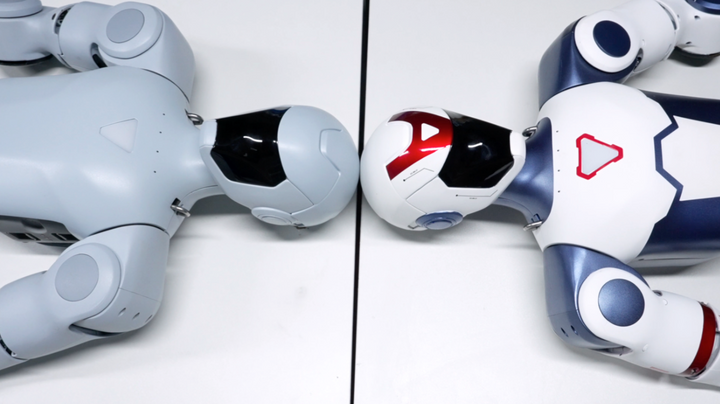 Unitree R1 view 6