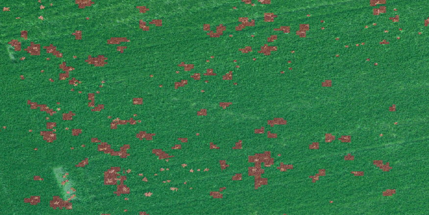 Agremo weed detection map with weeds highlighted in red on a green field