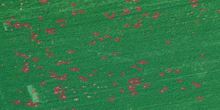 Agremo weed detection map with weeds highlighted in red on a green field