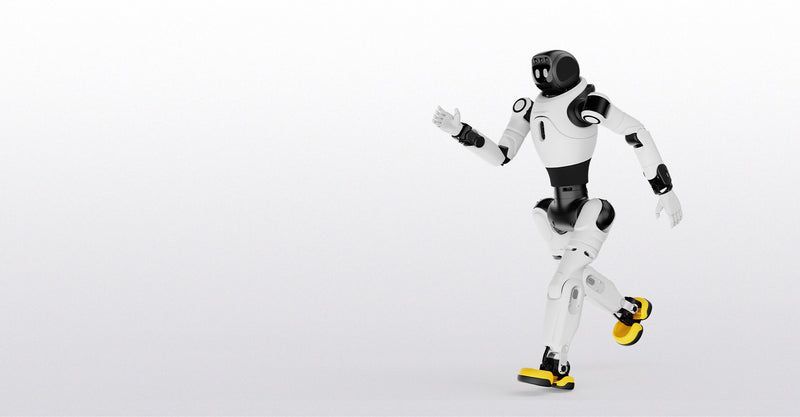 AGIBOT X2 Series Humanoid Robot