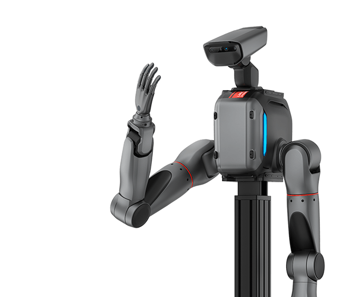 LimX TRON 2 dual-arm configuration