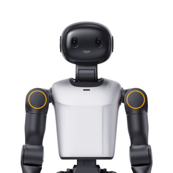 Booster K1 Humanoid Robot