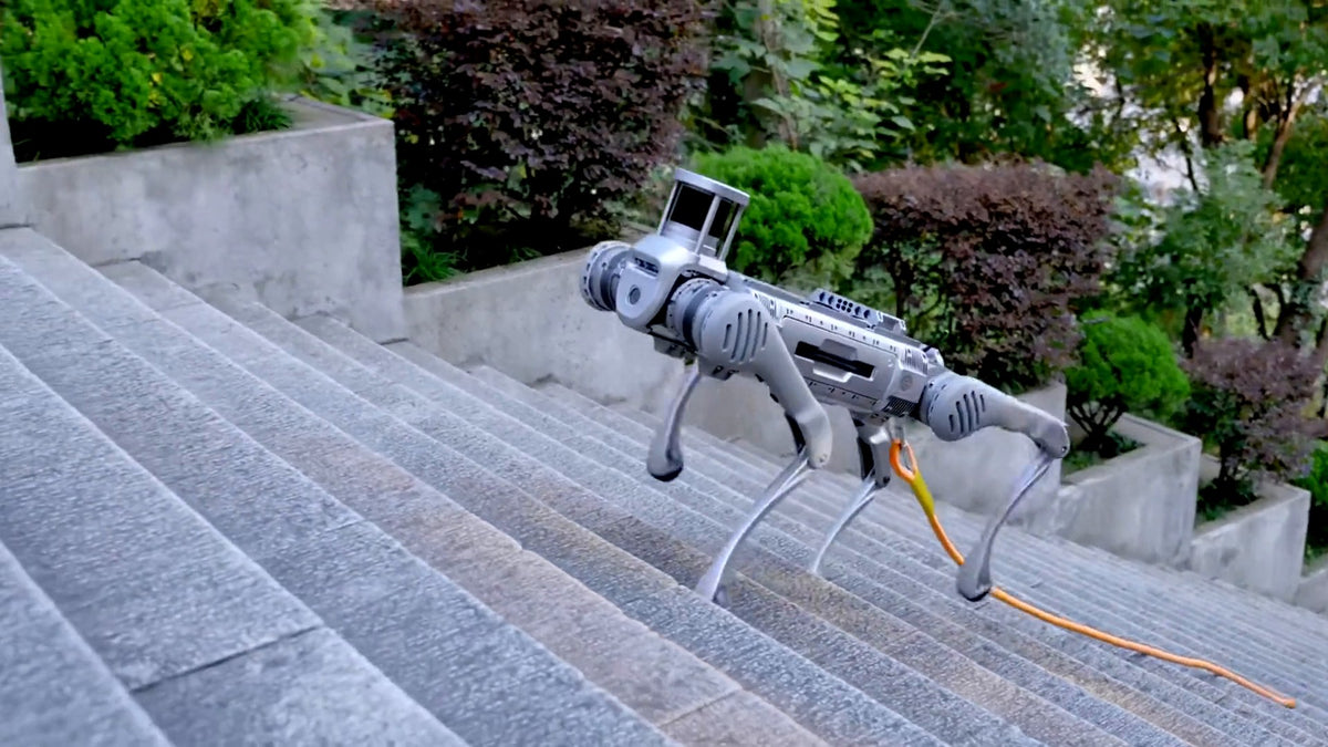 Unitree B2 quadruped robot climbing a stone staircase