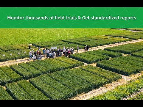 Advanced field trials monitoring: importing data and getting results in Agremo