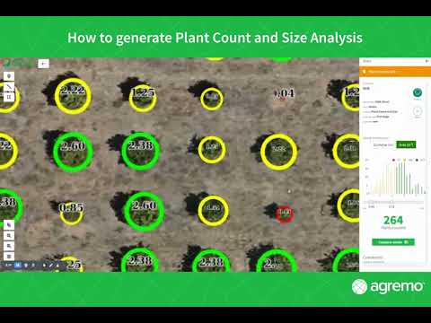 Agremo plant count and size analysis
