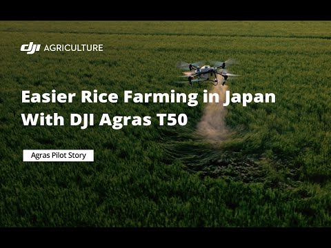 Easier Rice Farming in Japan With DJI Agras T50 (official DJI video)