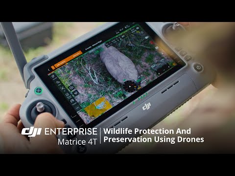DJI Matrice 4T: Drones for Wildlife Protection and Preservation (official DJI video)