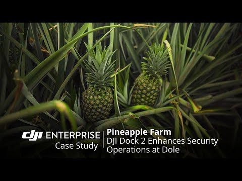 Drone-Powered Protection: Safeguarding Dole&