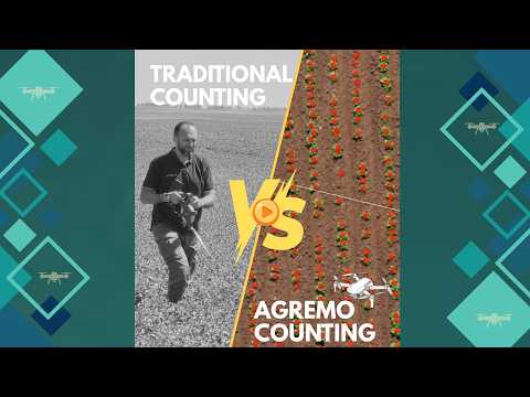 How to count plants across an entire field using drones and AI with Agremo