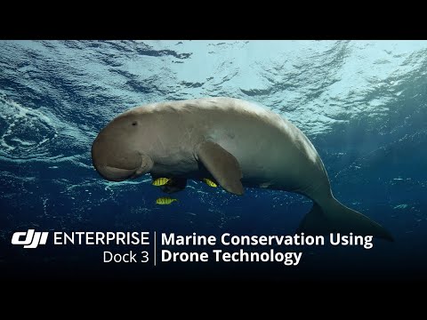 DJI Dock 3 | Drones For Marine Conservation (official DJI video)