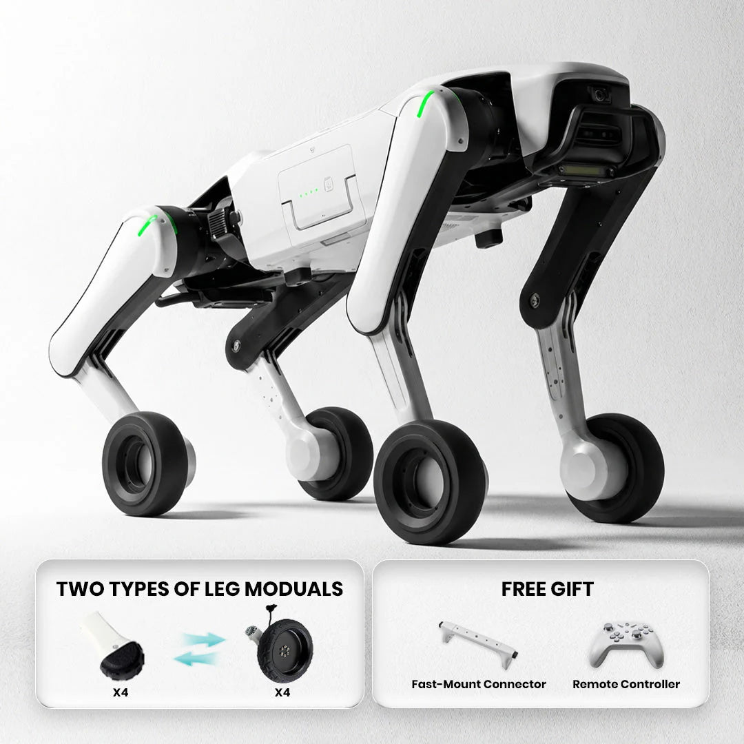Rover X1 Quadruped Robot Series