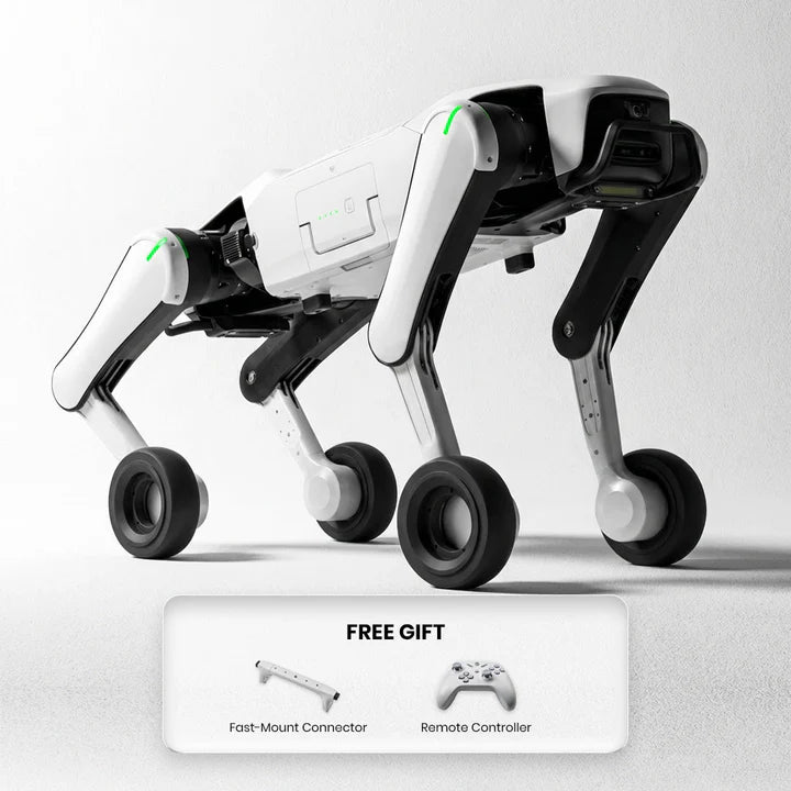 Rover X1 Quadruped Robot Series