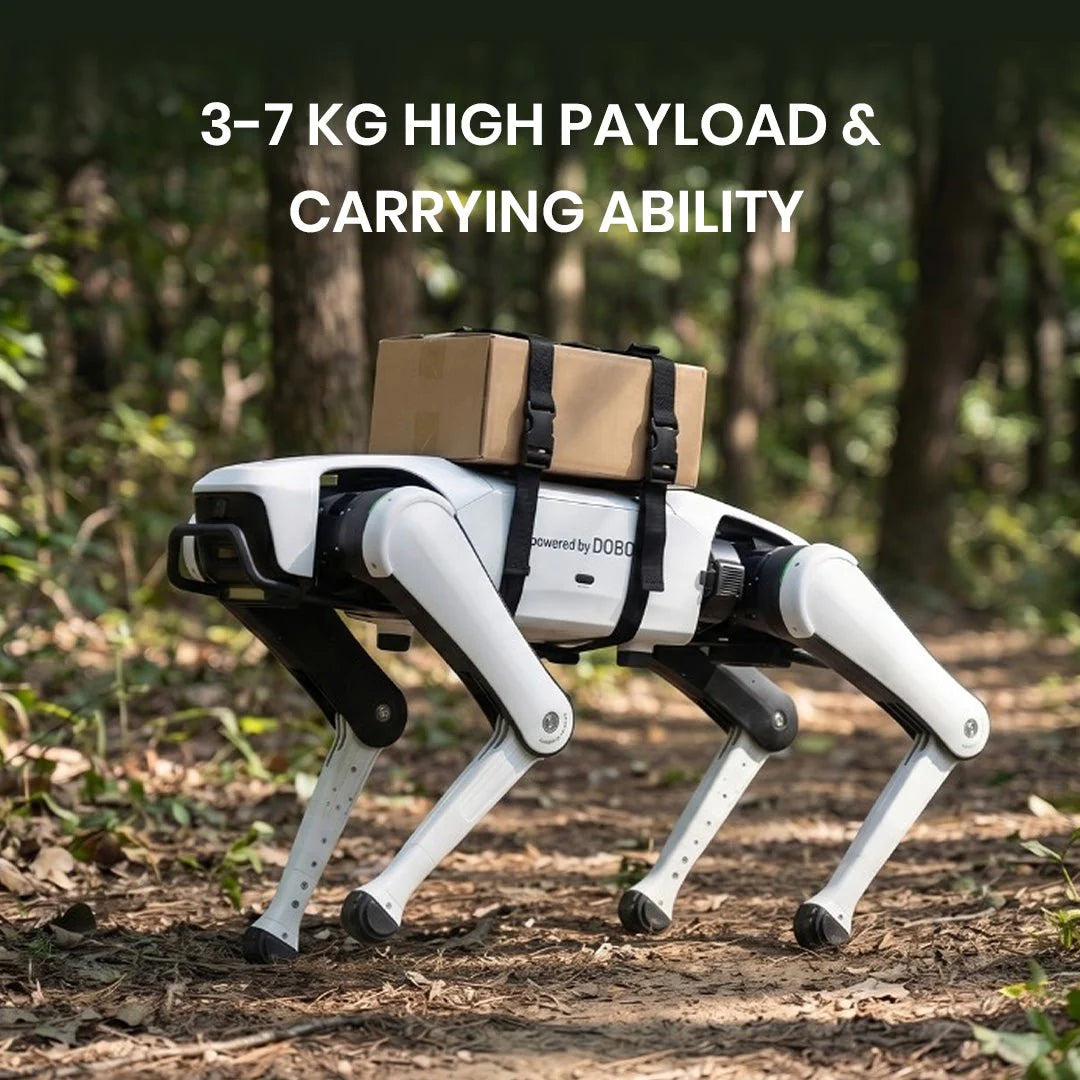 Rover X1 Quadruped Robot Series