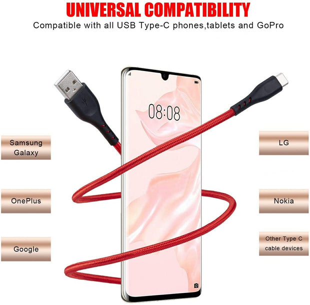 USB Type C Cable (1ft)