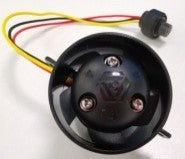 Persiguiendo a Dory Motors